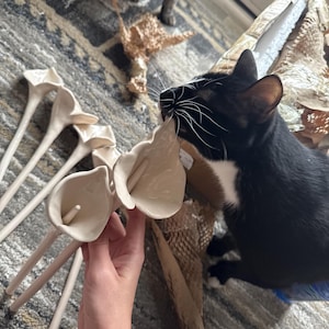 Allison added a photo of their purchase