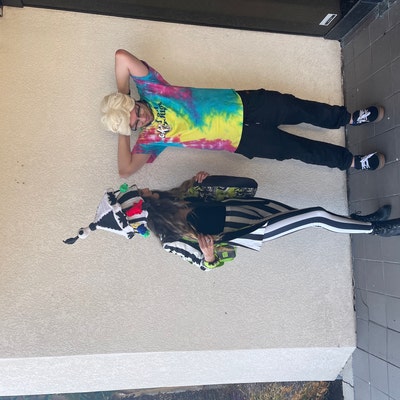 rosy maple moth plush