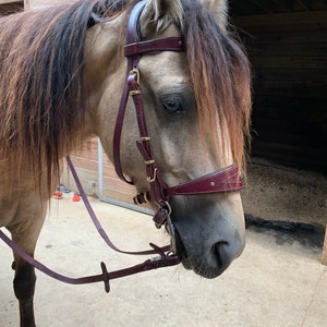 Kerri added a photo of their purchase