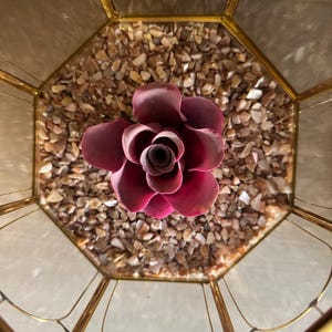 Miss hat ein Foto des gekauften Artikels hinzugefügt