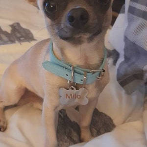 Holly added a photo of their purchase