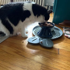 Abby added a photo of their purchase