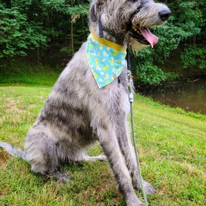 Danielle added a photo of their purchase