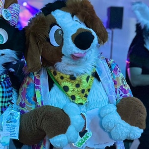 Paws added a photo of their purchase