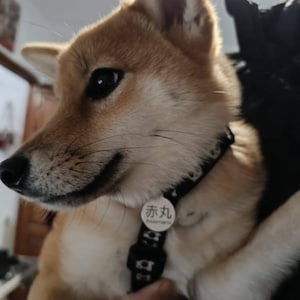 Link added a photo of their purchase