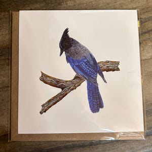 Kim added a photo of their purchase