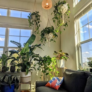 Drew added a photo of their purchase
