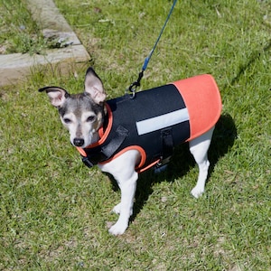 Ann added a photo of their purchase