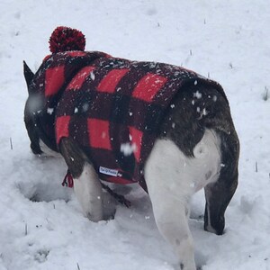 French Bulldog Frenchie Reversible Zebra Print Flannel and ...