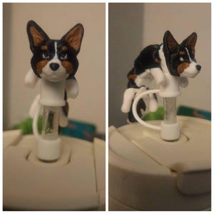 Kari added a photo of their purchase