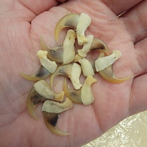 Diane added a photo of their purchase