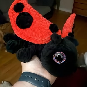 Lacy heeft een foto van de aankoop toegevoegd