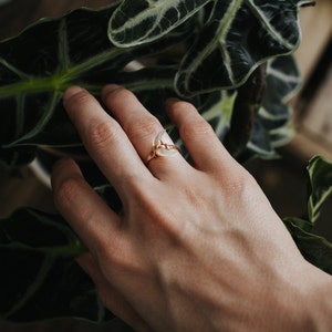 Brianna hat ein Foto des gekauften Artikels hinzugefügt