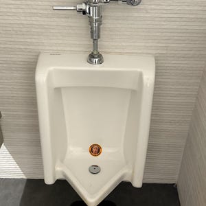 Ward added a photo of their purchase