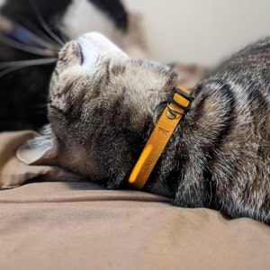 Pet Collar Five-pointed Star Cat Collar With Bell, Soft Breakaway Cat Collar  - Temu United Arab Emirates