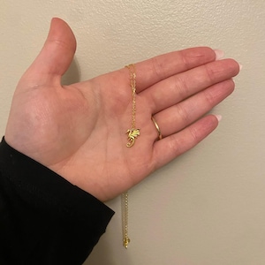 Haley added a photo of their purchase