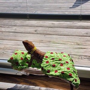 Victoria added a photo of their purchase
