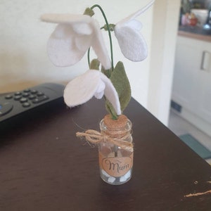 Paula hat ein Foto des gekauften Artikels hinzugefügt