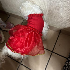 Fernanda added a photo of their purchase