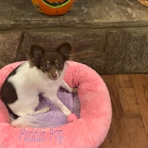 Joy added a photo of their purchase