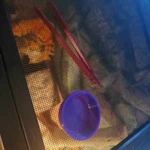 Angela added a photo of their purchase
