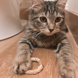 Katarina ha añadido una foto de su compra