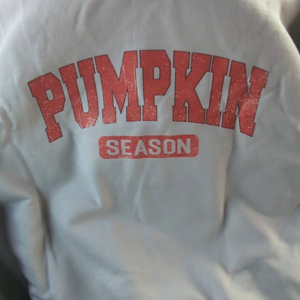 Pumpkin Season Sweater In Rustic Rose