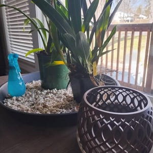 John added a photo of their purchase