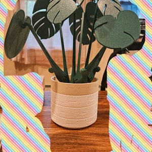 Ysabel added a photo of their purchase