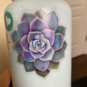 Amalia added a photo of their purchase