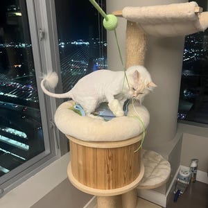 Anaëlle added a photo of their purchase