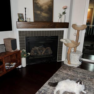 Taylor added a photo of their purchase