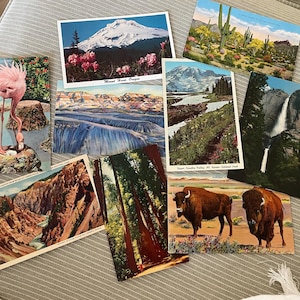 Kayce added a photo of their purchase