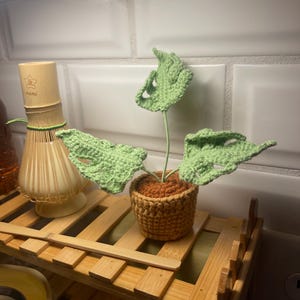 Shauna さんが購入した商品の写真を追加しました