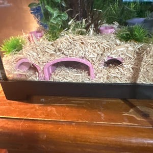 Leslie added a photo of their purchase