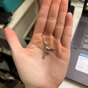 Cassidy ha añadido una foto de su compra