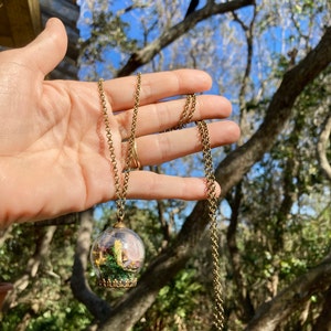 Analiese added a photo of their purchase