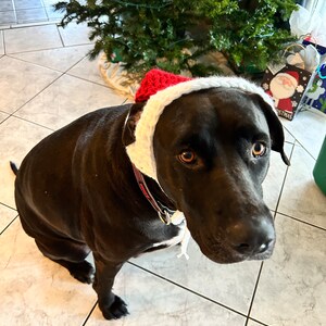 Santa Dog Hat Crochet PATTERN Etsy