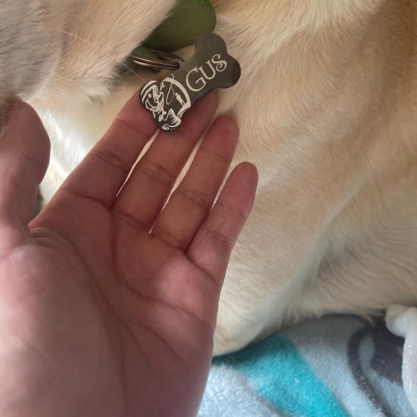 When The Road To Graduation Was Ruff, But You Did It Anyway Macorner Graduationgi