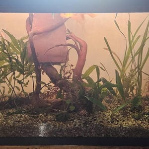 Shelley added a photo of their purchase