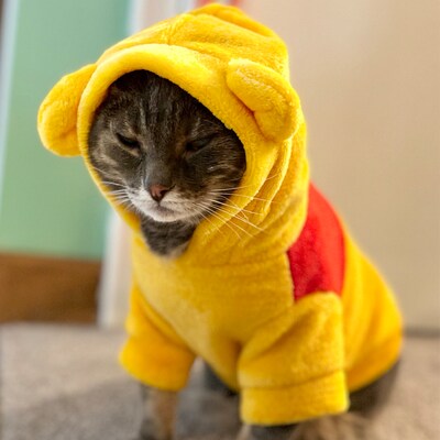 Baja Dog Poncho SIZE 3-mexican Dog Hoodie-mexican Poncho dog - Etsy