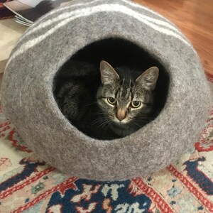 Viv added a photo of their purchase