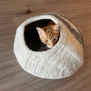 Penny added a photo of their purchase