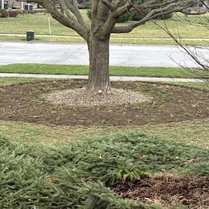 Terry adicionaram uma foto da sua compra