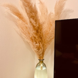 Léana ha aggiunto una foto del proprio acquisto