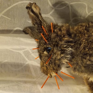 Lucky Rabbit Foot Keychain Charm, Midnight Blue, Real Rabbit Foot. - Etsy