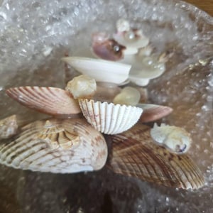 Amanda added a photo of their purchase