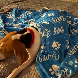 Hazel added a photo of their purchase
