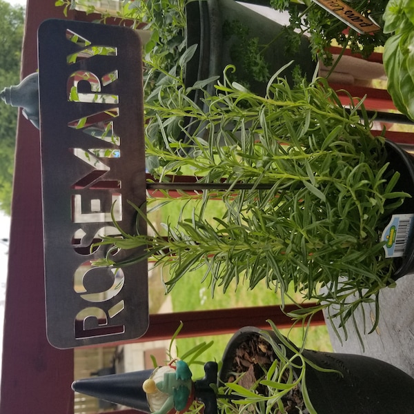 Metal Garden Row Marker Sign | Customizable Vegetable and Herb Sign ...