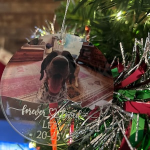 Lora adicionaram uma foto da sua compra